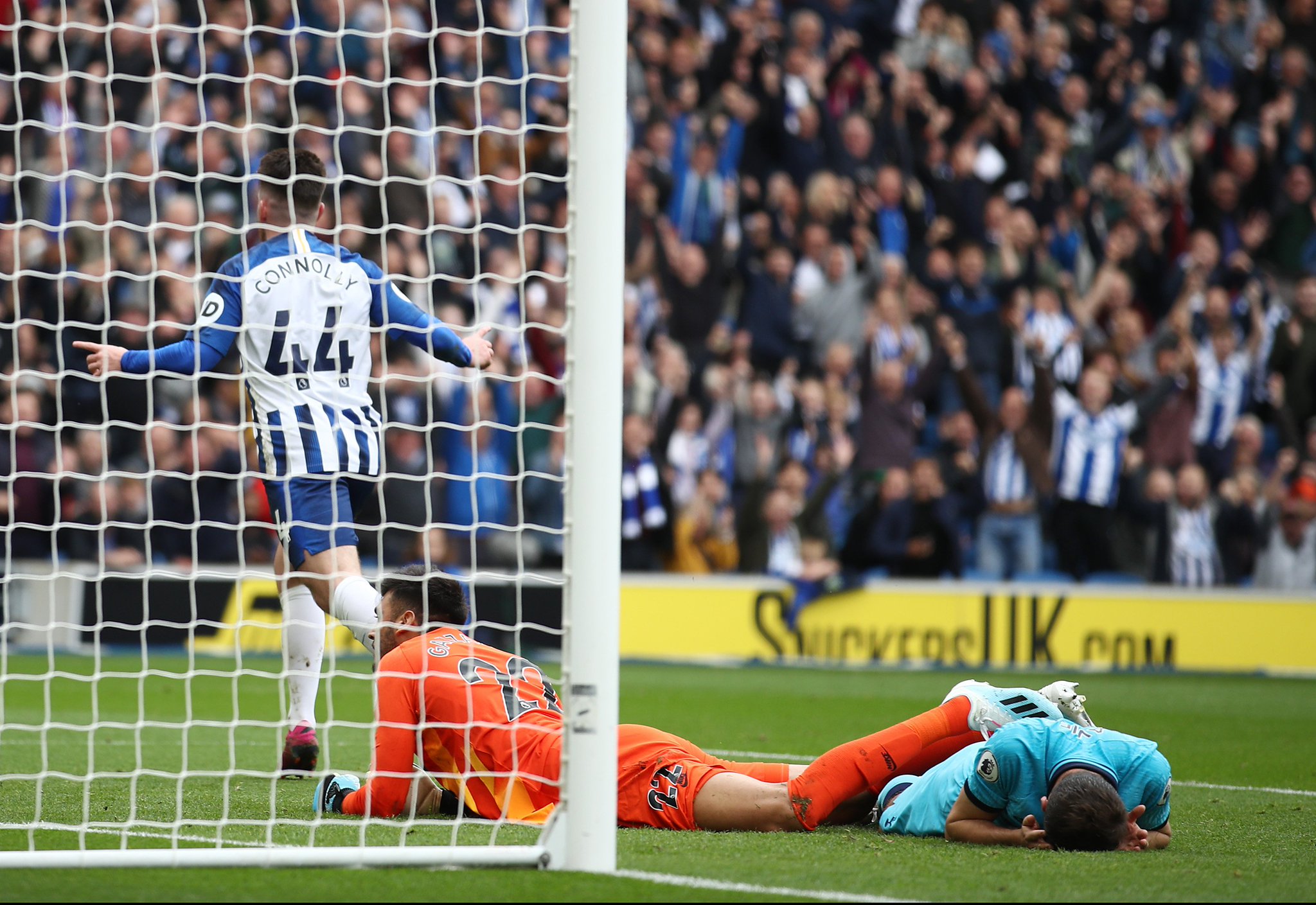 利尼亚的职 利尼亚的职